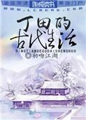 丁田的古代生活417