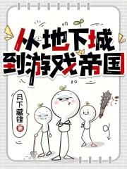 从地下城到游戏帝国月下藏锋