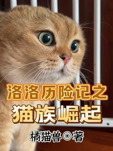 洛洛历险记招式