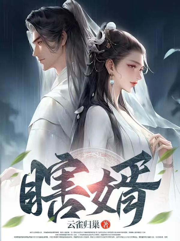 瞎婿离婚