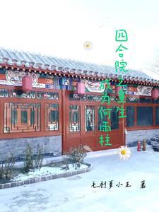 四合院之重生成为何雨柱毛利夏小